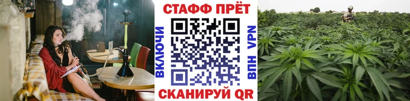 Где купить наркотики Отрадная Галлюциногенные грибы Меф мяу мяу МАРИХУАНА Кокаин