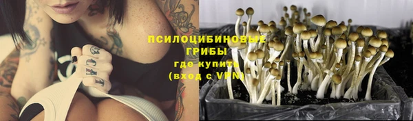 MESCALINE Алзамай