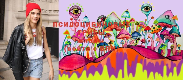 гидропоника Абаза